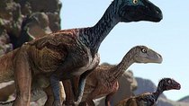 Dinosaur Revolution - Episode 1 - Evolution's Winners