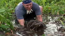 Gator Boys - Episode 2 - Mud Gator Attacks