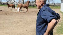 The Incredible Dr Pol - Episode 1 - Vet and Wild