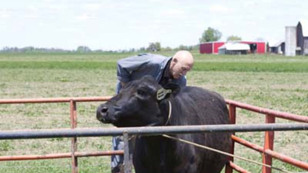 The Incredible Dr Pol - Ep. 7 - The Cow Jumped Over the Moon