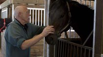 The Incredible Dr Pol - Episode 8 - Gallop Pol