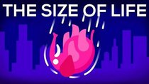 Kurzgesagt – In a Nutshell - Episode 8 - What Happens If We Throw an Elephant From a Skyscraper? (The...