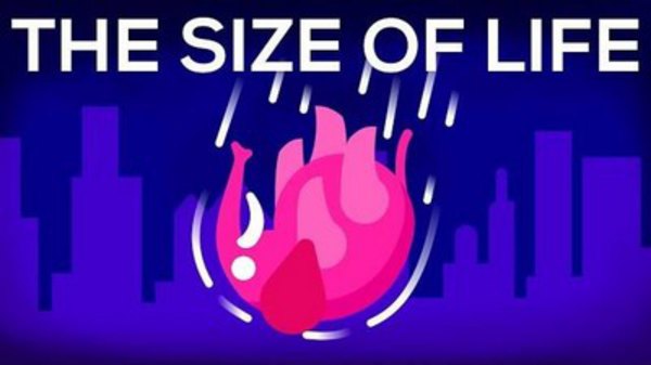 Kurzgesagt – In a Nutshell - S2017E08 - What Happens If We Throw an Elephant From a Skyscraper? (The Size of Life #1)