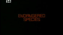 MonsterVision - Episode 185 - Endangered Species