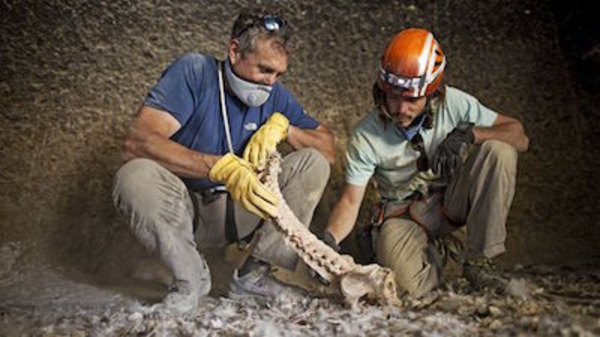 PBS Specials - S2012E04 - Cave People of the Himalaya