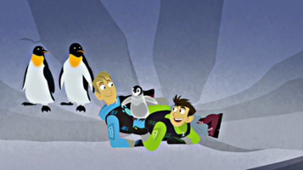 Wild Kratts Season 5 Episode 1