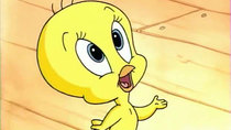 Baby Looney Tunes - Episode 11 - Mine!