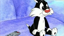 Baby Looney Tunes - Episode 71 - Cool for Cats