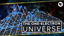 PBS Space Time - Episode 28 - The One-Electron Universe