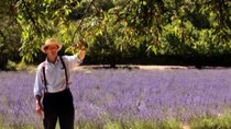 Monty Don's French Gardens - Episode 2 - The Gourmet Garden