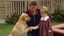 Full House - Episode 7 - And They Call It Puppy Love