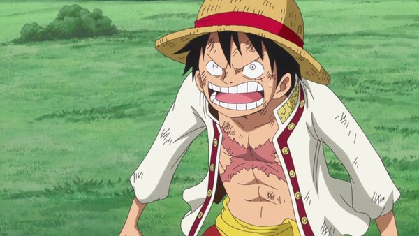 One Piece Episode 807 - Watch One Piece E807 Online