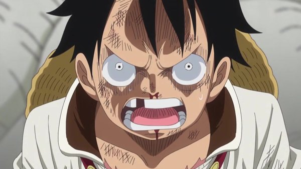 One Piece Episode 807 - Watch One Piece E807 Online