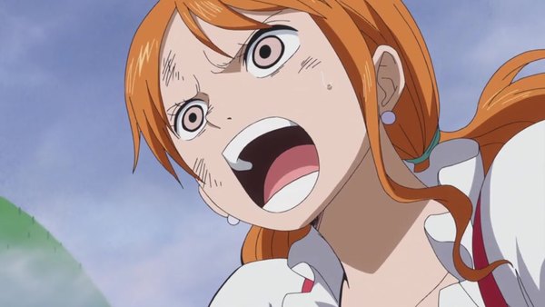 One Piece Episode 807 - Watch One Piece E807 Online