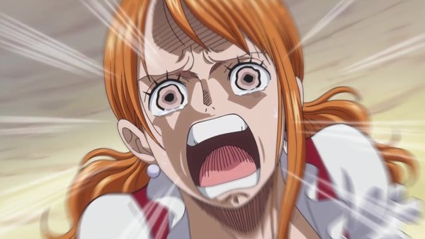 One Piece Episode 807 - Watch One Piece E807 Online