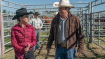 Heartland (CA) - Episode 3 - Decision Time