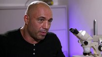 Joe Rogan Questions Everything - Episode 1 - Bigfoot Human Hybrid