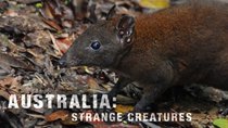 Australia's First 4 Billion Years - Episode 4 - Strange Creatures