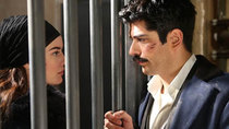 Çalıkuşu - Episode 20