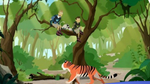 Wild Kratts Season 5 Episode 3