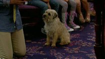 The Haunted Hathaways - Episode 8 - Haunted Dog