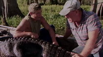 Swamp People - Episode 5 - Pirate of the Bayou