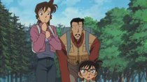 Meitantei Conan - Episode 314 - The Broken Fence of the Viewing Platform