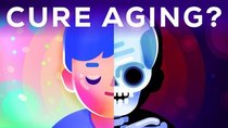 Kurzgesagt – In a Nutshell - Episode 14 - How to Cure Aging — During Your Lifetime?