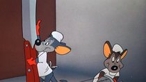 Looney Tunes - Episode 9 - The Hypo-Chondri-Cat