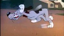 Looney Tunes - Episode 9 - A Bone for a Bone