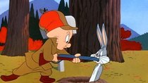 Looney Tunes - Episode 13 - Rabbit Fire