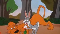 Looney Tunes - Episode 27 - Rabbit's Kin