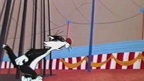 Looney Tunes - Episode 14 - Tweety's Circus