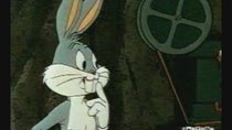 Looney Tunes - Episode 17 - Pre-Hysterical Hare