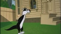 Looney Tunes - Episode 12 - The Jet Cage