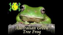 Game Theory - Episode 6 - Frogger, Australian for Games