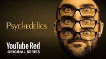 Mind Field - Episode 2 - The Psychedelic Experience