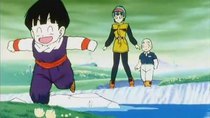 Dragon Ball Z - Episode 43 - A Friendly Surprise