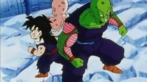 Dragon Ball Z - Episode 113 - Suicidal Course