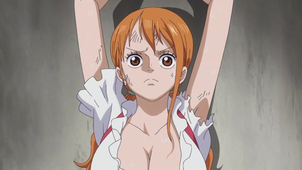 One Piece Episode 819 - Watch One Piece E819 Online