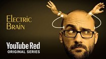 Mind Field - Episode 8 - The Electric Brain