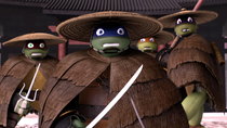 Teenage Mutant Ninja Turtles - Episode 9 - Kagayake! Kintaro