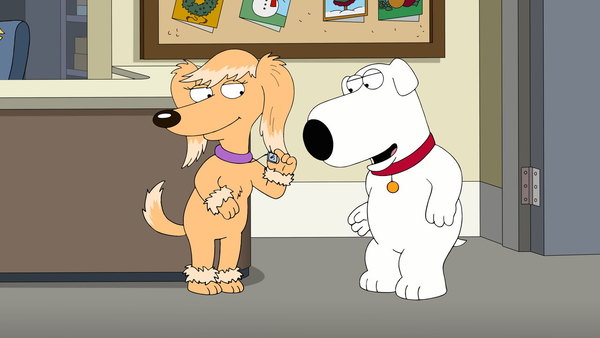 Family Guy - S16E10 - Boy (Dog) Meets Girl (Dog)
