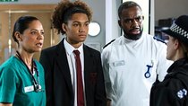 Casualty - Episode 20