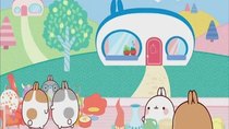 Molang - Episode 14 - The Second-hand Market