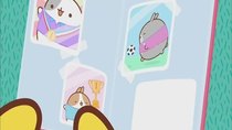 Molang - Episode 37 - The Soccer Player