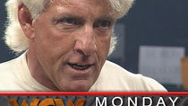WCW Monday Nitro - Episode 11 - Nitro 234