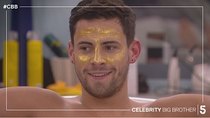 Celebrity Big Brother - Episode 30 - Day 25 Highlights