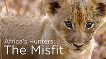Africa's Hunters - Episode 4 - ​The Misfit