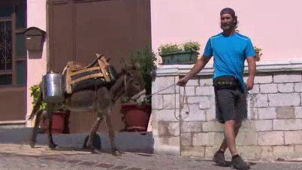 The Amazing Race - S29E08 - Good Job, Donkey